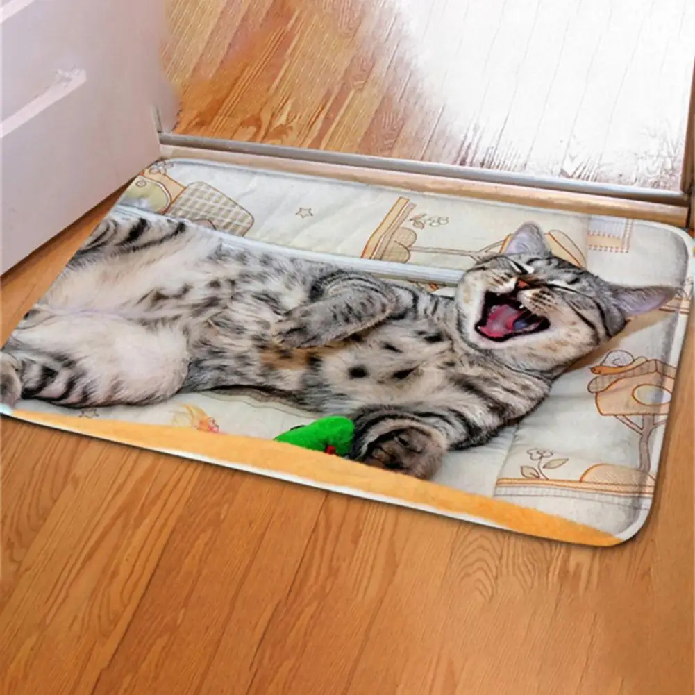 

Entrance Door Mat Carpet Anti-slip 3D Coral Velvet Cat Dog Pattern Floor Mat Doormat Entrance Mats Living Room Bedroom