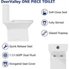 Elongated One Piece Toilet, DV-1F0072-1 Square Compact Toilets for Bathrooms, Dual Flush 1/1.6 GPF and MaP 1000g, 12'' Rough-In 5