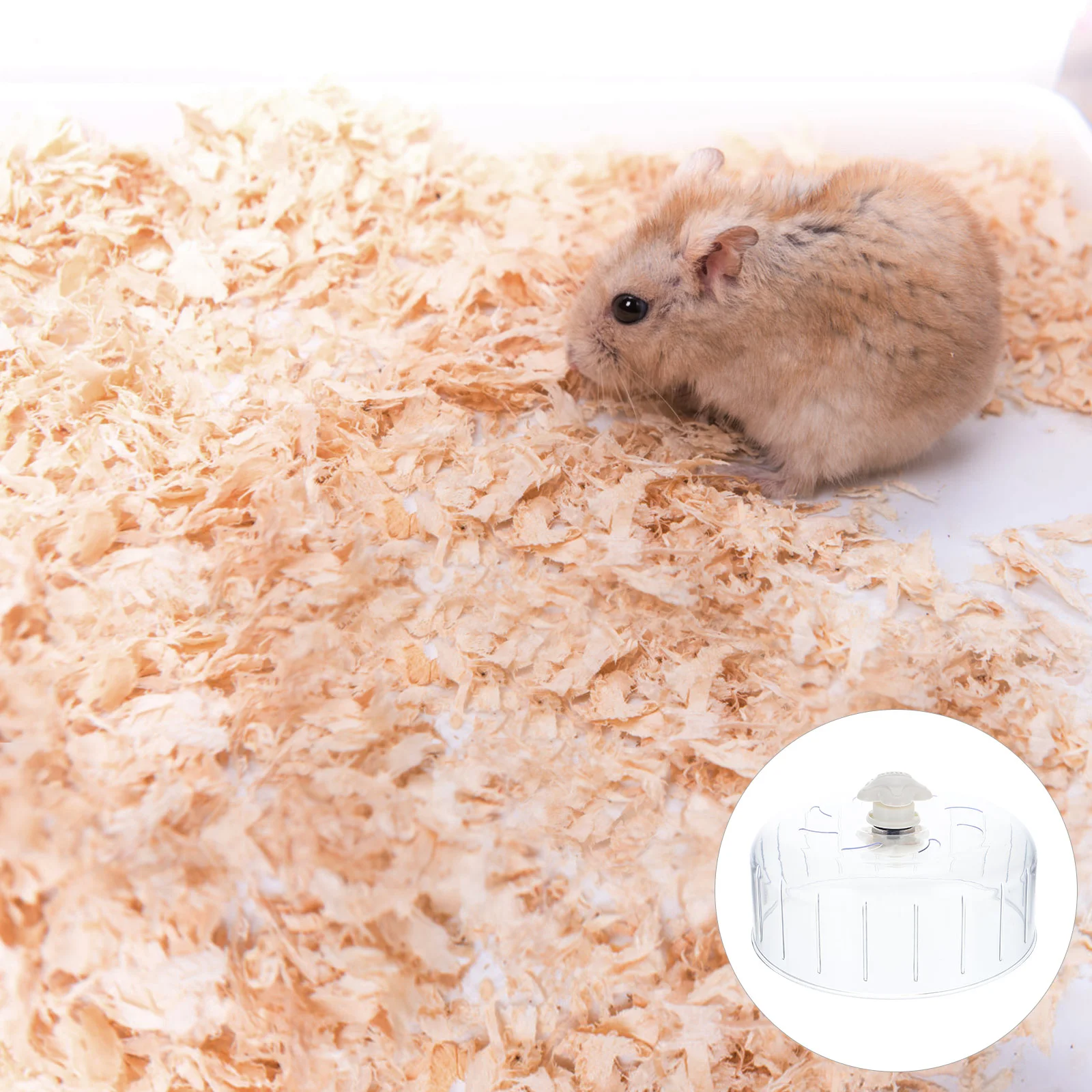 

Dradel Toy Little Critters Toys Hamster Exercise Wheels Silent Transparent Small Animal Hedgehog Wheel Toy Hamster Gerbils