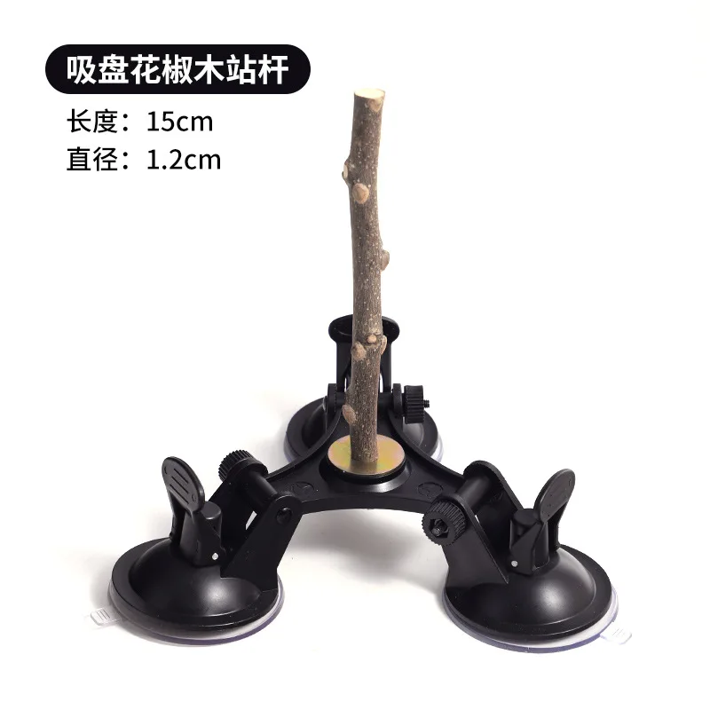 Multi-Functional Perch Stand for Birds Bird Shower Perch Function Window for Birds Secure Suction Cup