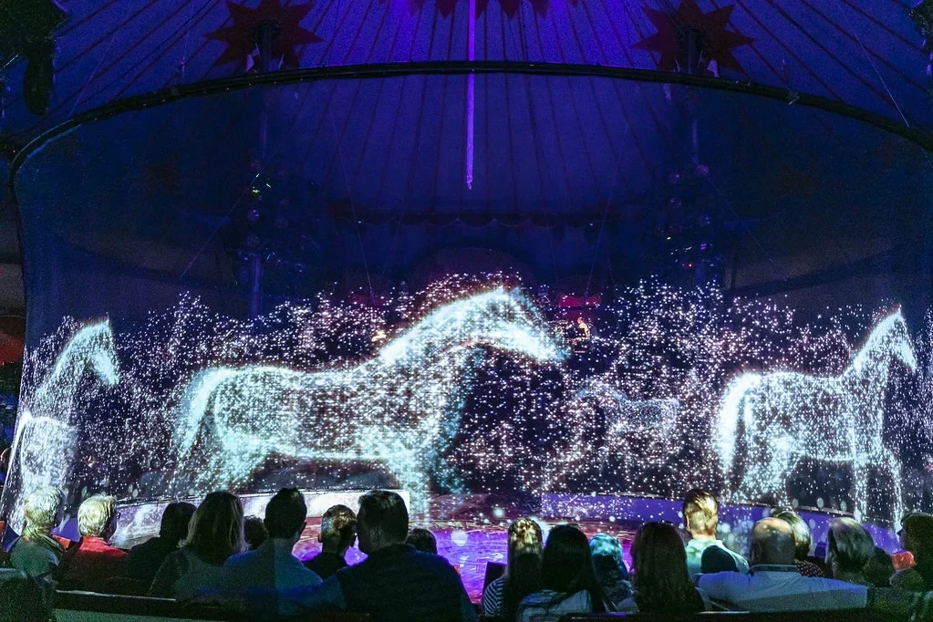 4X3M 5X3M 3D Holo Mesh Screen Hologram Projector Holo Gauze Holographic projection For Stage Show Music Concert