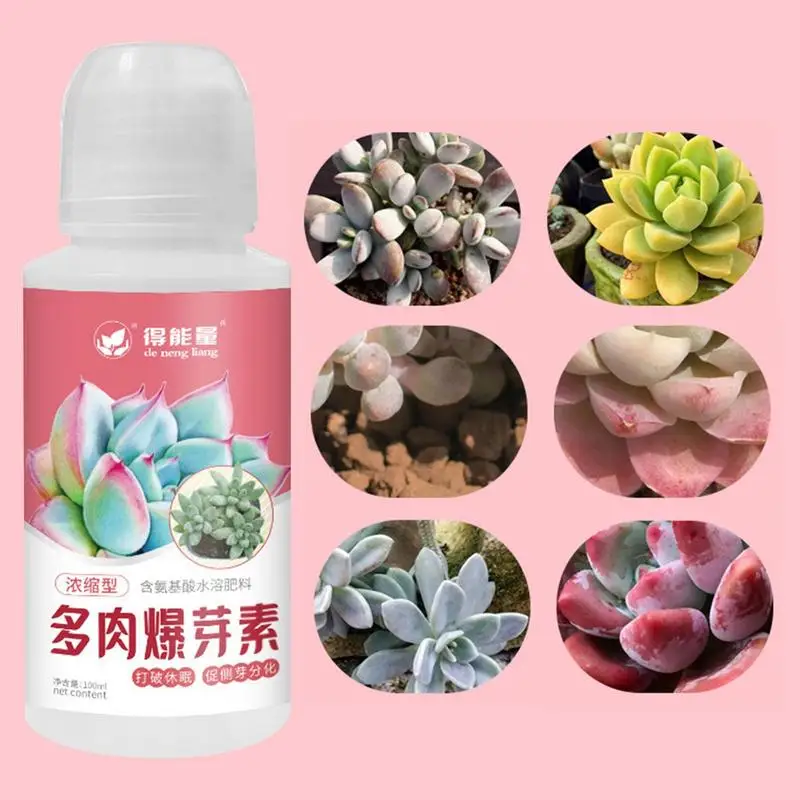 Organic Fertilizer Plant Fertilizing Concentrate 100ml Succulent Plant Foliar Fertilizer Fattening Coloring Promoting Growth Bursting Buds Nutrient Solution