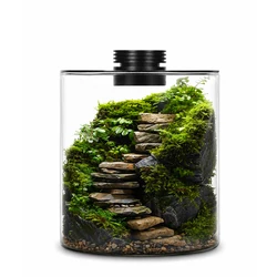 Illuminated Glass Terrarium for Indoor Miniature Gardens and Aquatic Displays (Vase and light)