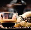 New Commercial Bean To Cup Coffee Vending Machine With Italian Parts And Touch Button 4