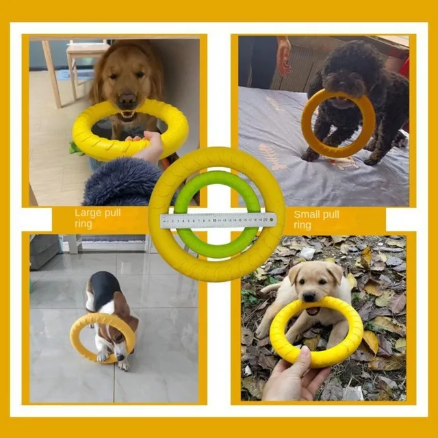 Leitee 2 Pack Dog Ring Toys Indestructible Dog Toys Dog Chewing Ring Toy  Flying Discs Floating Dog Training Tools Dog Fetch Toy for Small Medium  Large