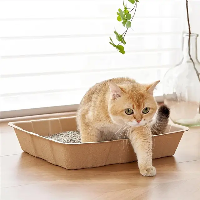 Biodegradable For Cats And Small Animals 5Pack Leakproof Cardboard Tray Cat Litter Boxes Disposable 2