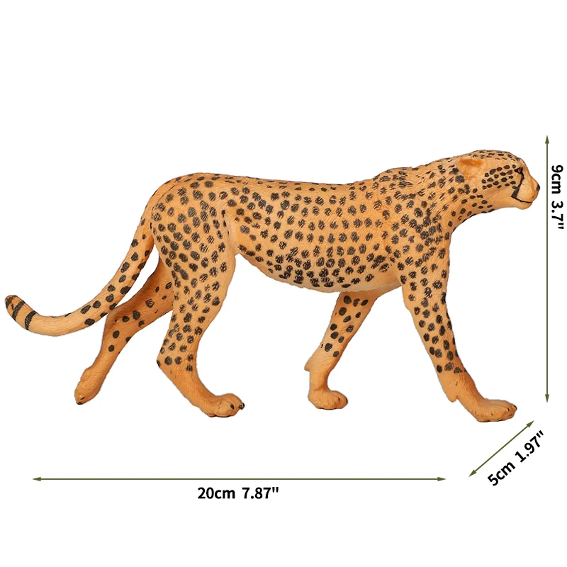 Cheetah