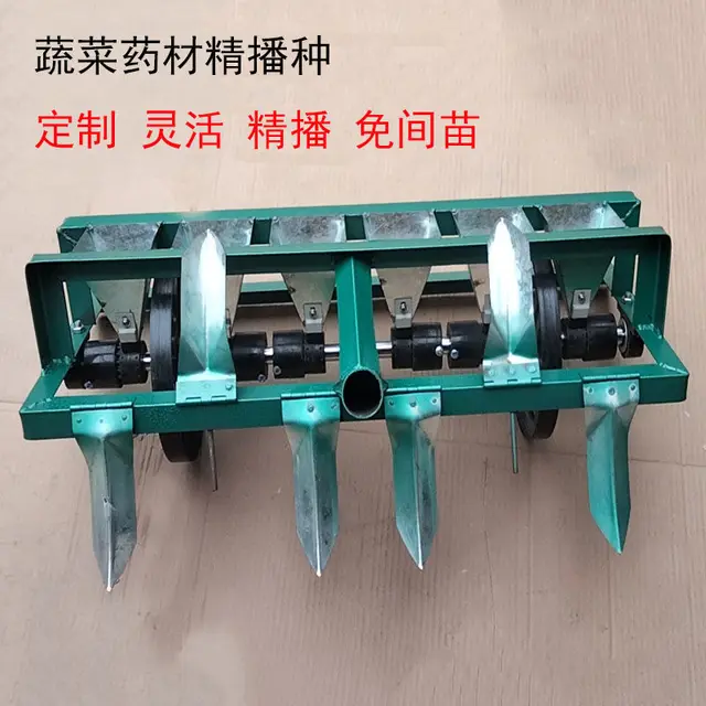 Retek, Saláta, Kis Káposzta, Mogyoró, Koriander, Különféle Zöldségmagok, Multifunkcionális Mezőgazdaság Háztartási Ültetése