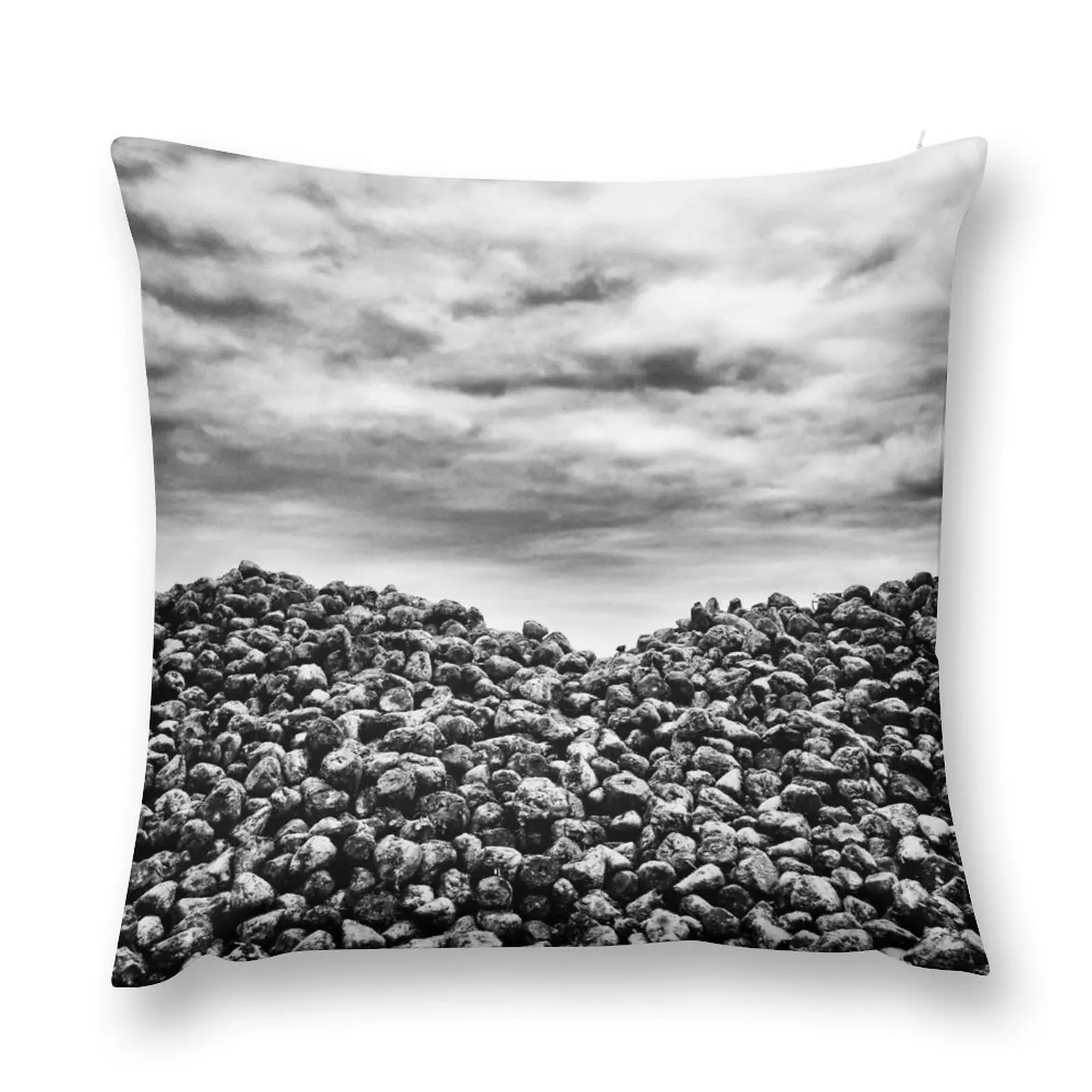 

Farming Throw Pillow Cushions Cover Decorative Cushions Christmas Covers For Cushions