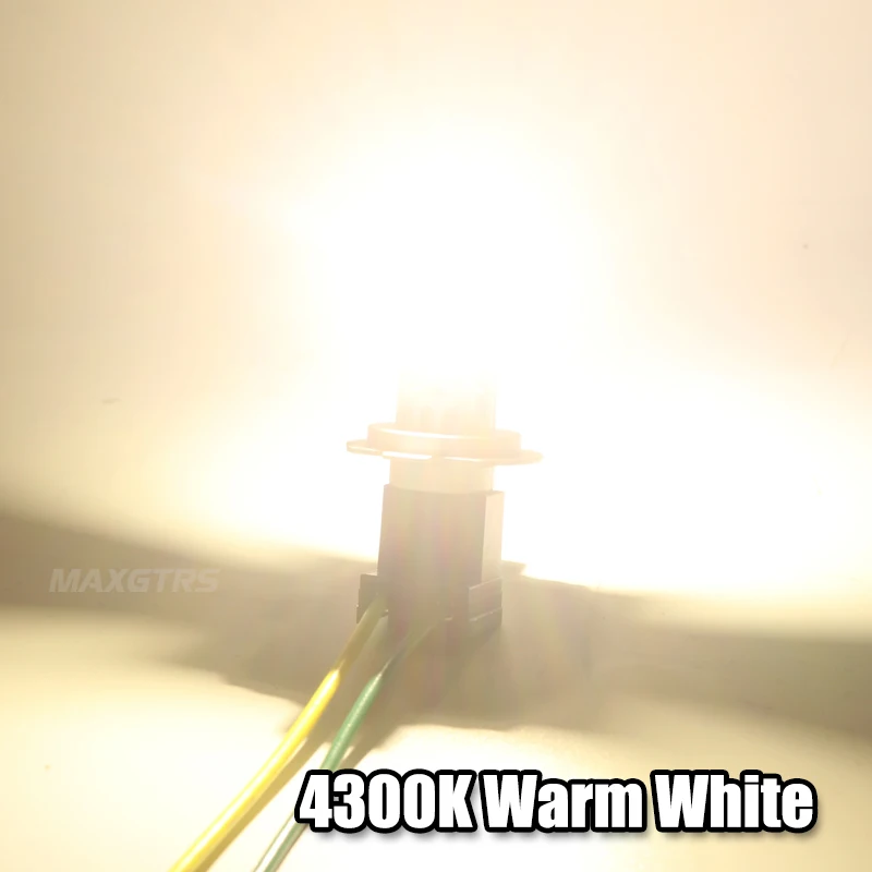Warm White
