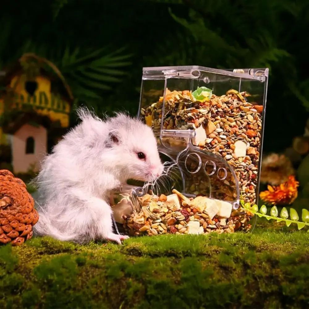 Plastic-Clear-Rabbit-Food-Container-Anti-Overturning-Transparent ...