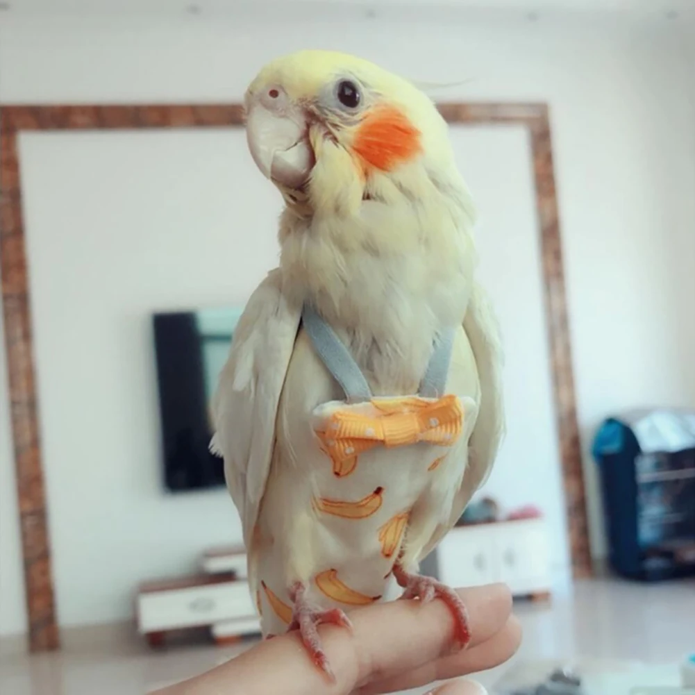 Reusable Bird Diaper Washable Parrot Diapers Bird Flight Suit For Parakeet Parrot Macaw Budgie Canary Budgie Cockatiel bird diaper