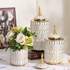Ceramic Checkmate Jar Porcelain Jar of Ginger Flower Vase Gold Geometric Storage Tank Flower Arranging Craft Home Decoration 1