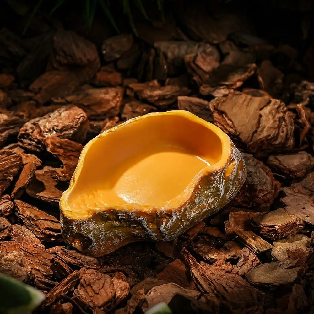 Ciotola Multifunzionale per Rettili, Vasca d'Acqua Multicolore in Finta Pietra, Forma di Ceppo d'Albero, Robusta Vasca per Micro-Paesaggistica - immagine 4