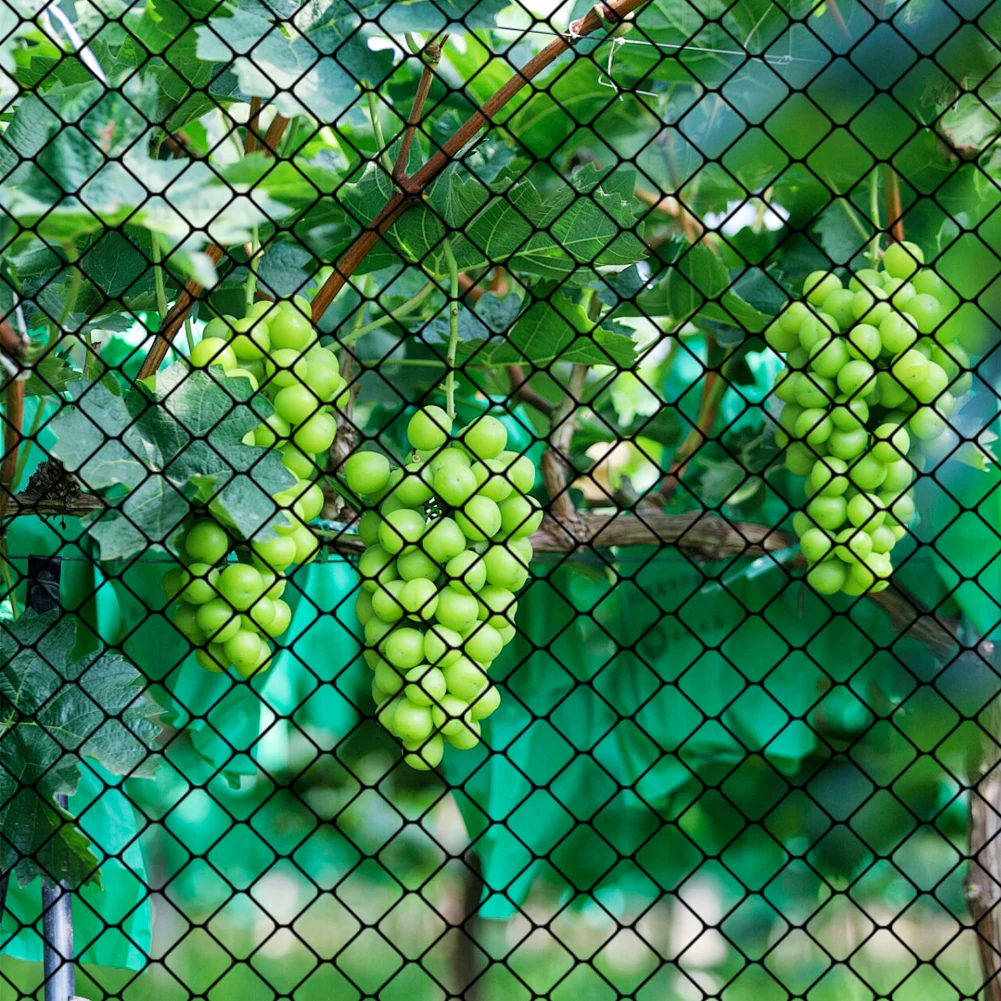 Nylon Bird Netting Mesh Hawk Net Protective Chicken Coop Netting 25 X 50 FT Heavy-Duty Garden Netting for Fruit Trees Plants