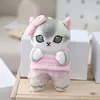 Wholesale 14pcs/lot 14cm Cute Shark Cat plush toys keyring key chain pendants animal cat dolls one week gifts 4