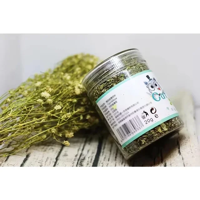 Organic Natural Catnip Toy 5