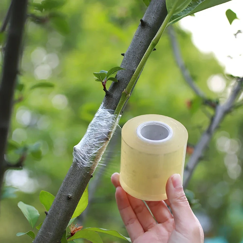 PE Grafting Tape Film Self-adhesive Garden Tree Plants Seedlings Vine Tomato Grafting Accessories Stretchable 2/3/4cm Width grafting tape