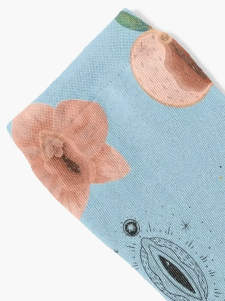 Vagina Pattern! Socks Christmas short Women Socks Men's
