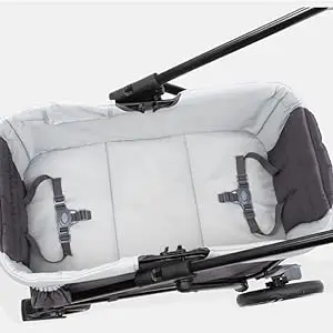 Expedition 2-in-1 Stroller Wagon Large Cargo Space & Seating Area with 3-Point Safety Harness