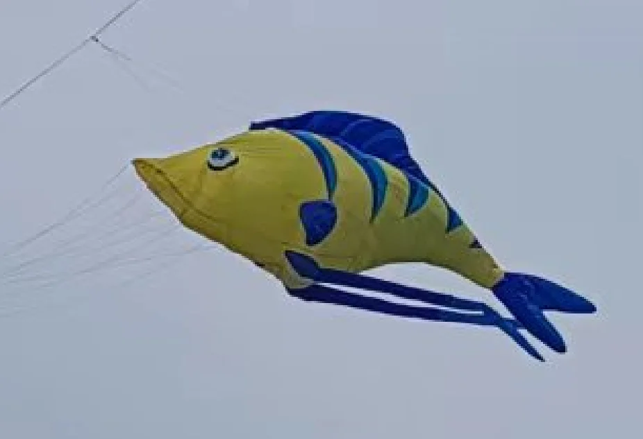 Newtropical Fish Kite Kite Flying Kites For Adults Outdoor Toys Big