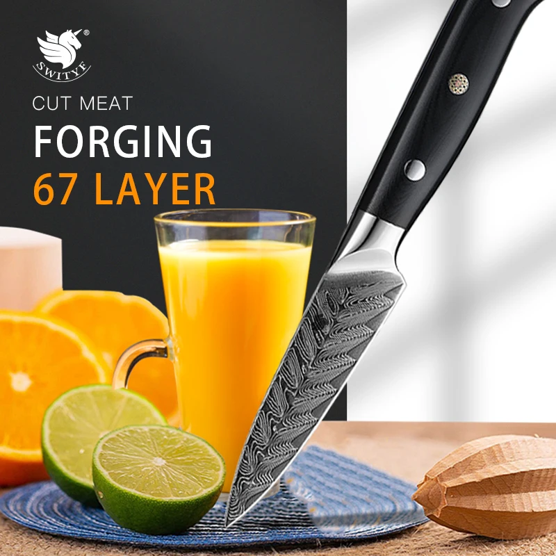 

SWITYF Japanese 3.5 Inch Paring Knife VG10 Damascus Steel 67 Layers Vegetable Fruit Peeling Utility Knife Sharp Cooking Cutter