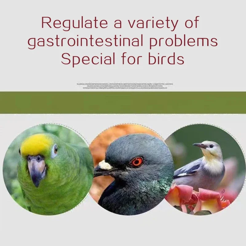 Pigeon parrot bird lifesaving conditioning fluid Diarrhea Green stool Salmonella Newcastle disease mental depression