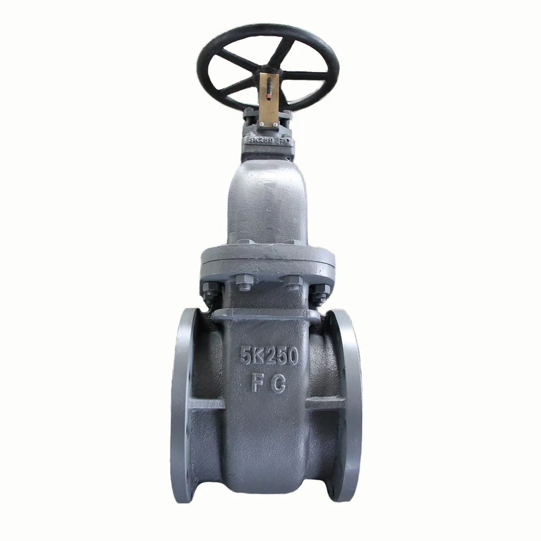 

JIS 5K Marine Flange Type Cast Iron Gate Valve