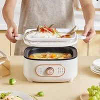 Folding 110V220V Voltage Electric Steamer, Electric Steamer, European and American Standard Fully Automatic Electric Boiler 2