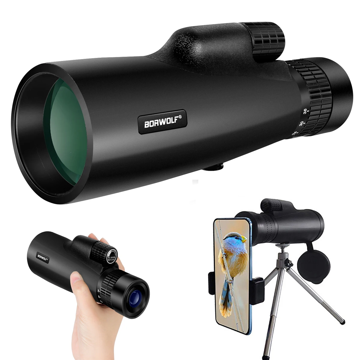 

Borwolf 12-36X50 Monoculars BAK4 Prism FMC Optical Lens High Power Hunting Birdwatching Telescope waterproof night vision