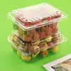100pcs Fruit Box with Lid Disposable Plastic Transparent 1kg Packaging Boxes Strawberry Grape Fruit Vegetable 500g Wrapping Box 6