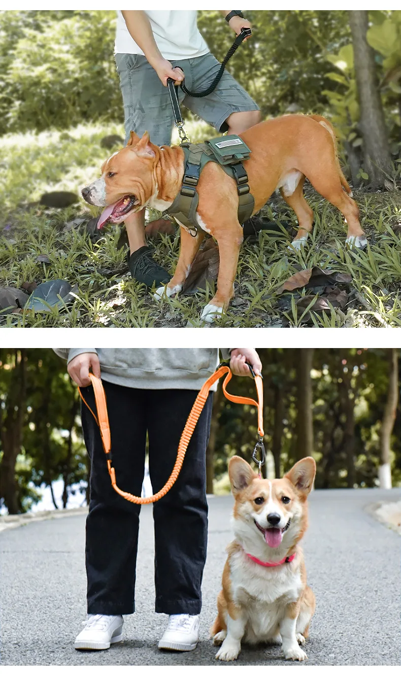 Dog Leash Rope High Elastic Reflective Leash Belt Big Dog Training Running Leashes Suitable For Medium Large Dog Accessories