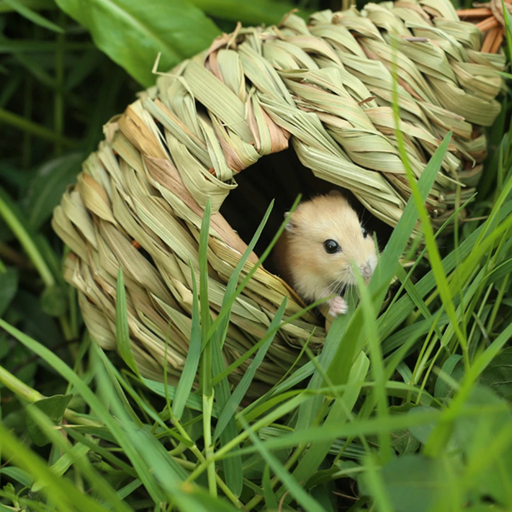 Nid D'oiseau Nid De Perroquet Nid De Paille Nid D'élevage Cage De Noix