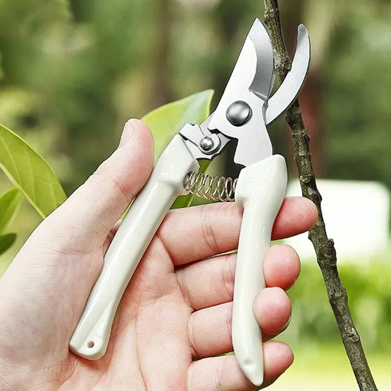 Pruning Shears for Garden