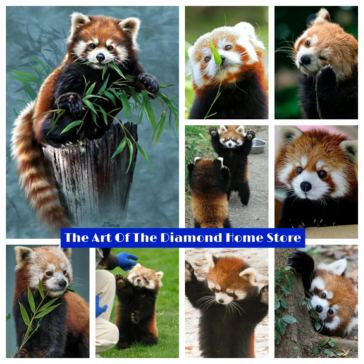 Red Panda 5D Fai Da Te Ab Trapani Pittura Diamante Mosaico Ricamo Animale Punto Croce Immagine Strass Artigianato Fatto A Mano Decorazioni Per La Casa