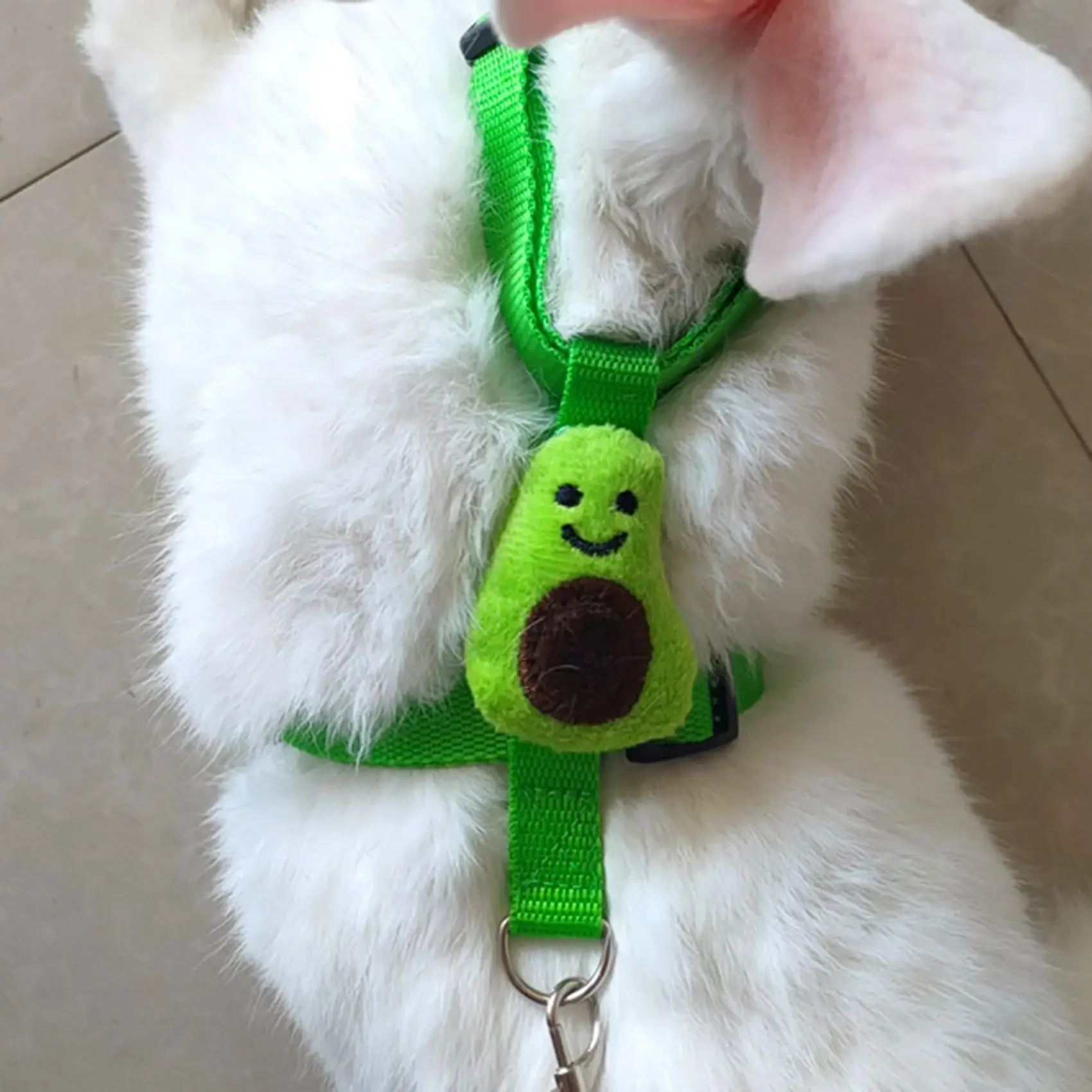Small Pet Leash Adjustable Anti Loosening Traction Rope for Pet Walking