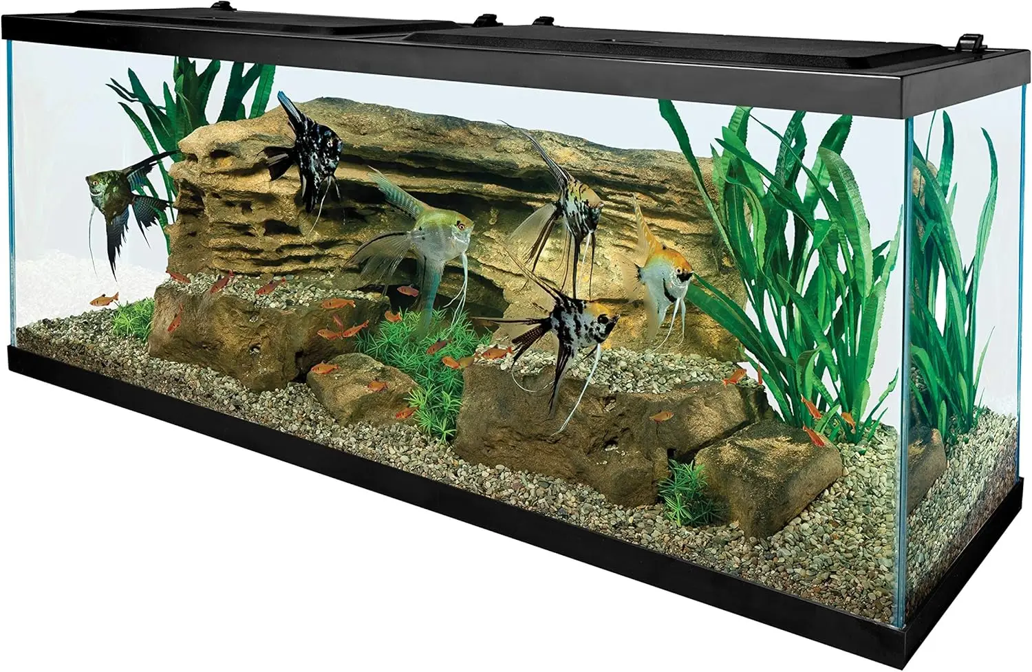 Glass Aquarium 1
