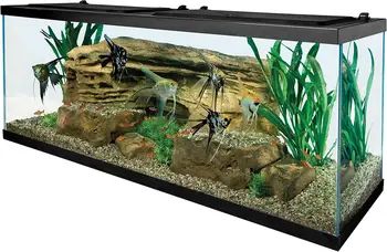 Glass Aquarium 1