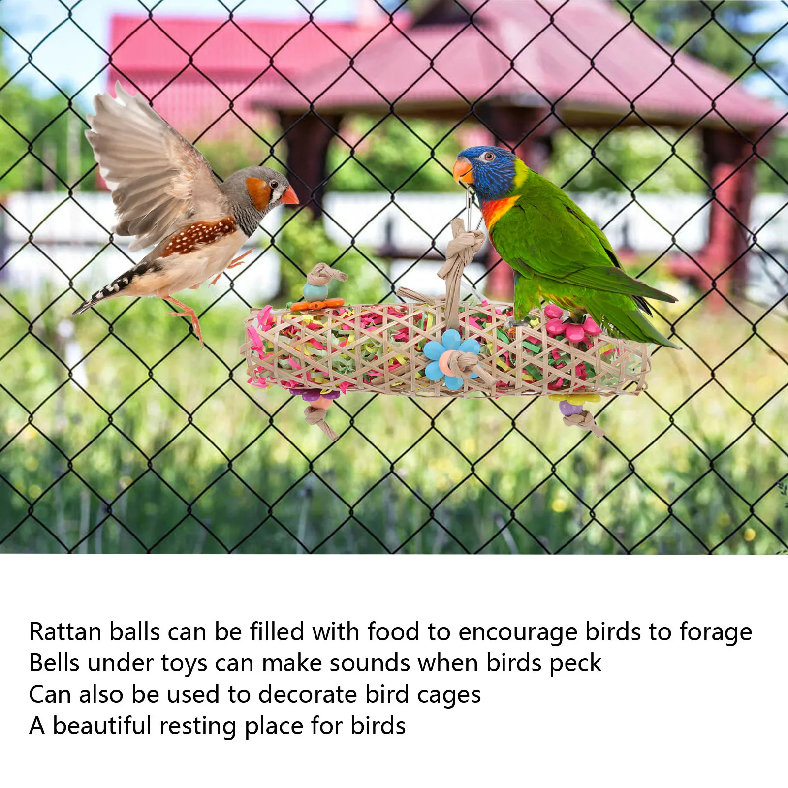 Bird Shredding Colorful Boredom Relief Parrot Foraging Chewing