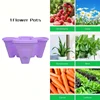 purple-flowerpot