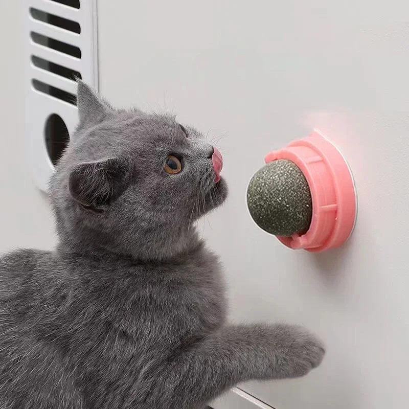 Catnip Cat Ball Toy Scratchers 1