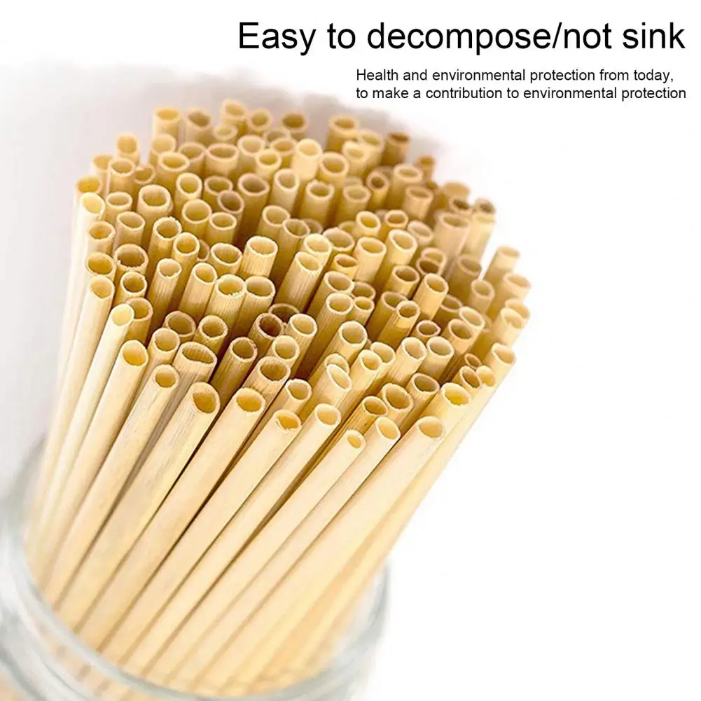 300 Pcs Wood Straws Food Grade Multipurpose Reusable Compostable Drink Chemical-free Bamboo Biodegradable Straws Party Supplies
