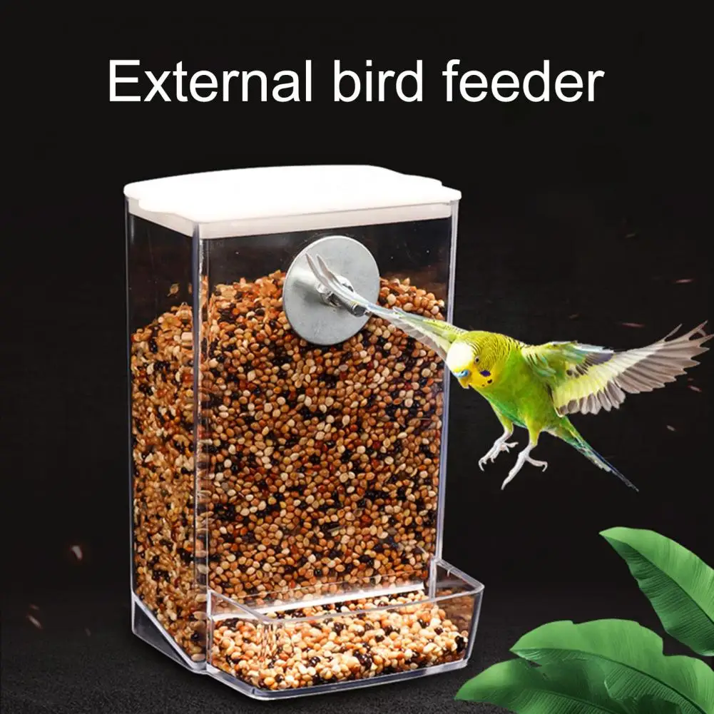 Bird Feeder Box  Hard Parrot Budgie Cockatiel Conure Food Dispenser  Screw Mount Bird Feeding Box