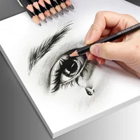 14Pcs Professional Sketch Pencil Set HB 2H 4H B 2B 3B 4B 5B 6B 7B 8B 10B 12B 14B Graphite Art Hand-Painted Pen School Stationery 6