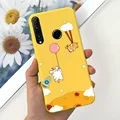 Case-c45