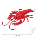 Ocean Animal-11