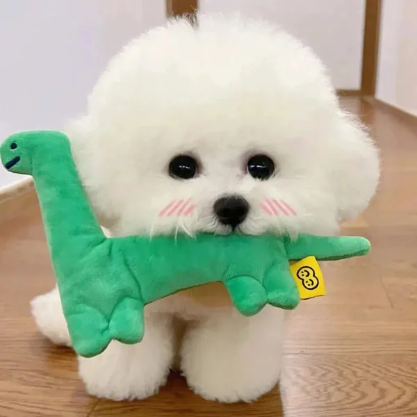Xy Home Pets Store