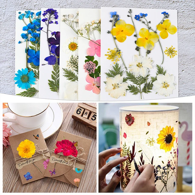 1bag Dried Flowers Pressed Flowers Stickers For Diy Phone Case Epoxy Resin  Filling Pendant Jewelry Making Crafts Nail Art Decor - Artificial Flowers -  AliExpress