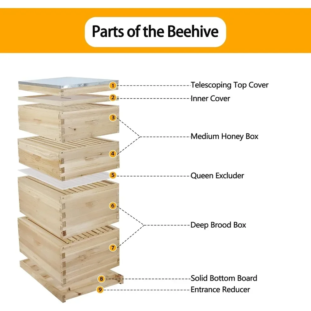 10-Frame Bee Hives with 2 Deep Bee Box 2 Medium Hive Box with Beehive Frames and Beeswax Coated Foundation Sheets