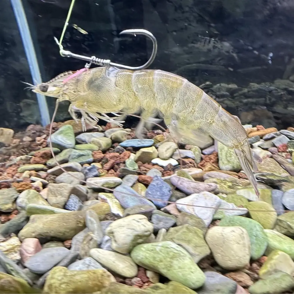 Slide image ed4eab761bd44bcaa0bf97d5205b4e84